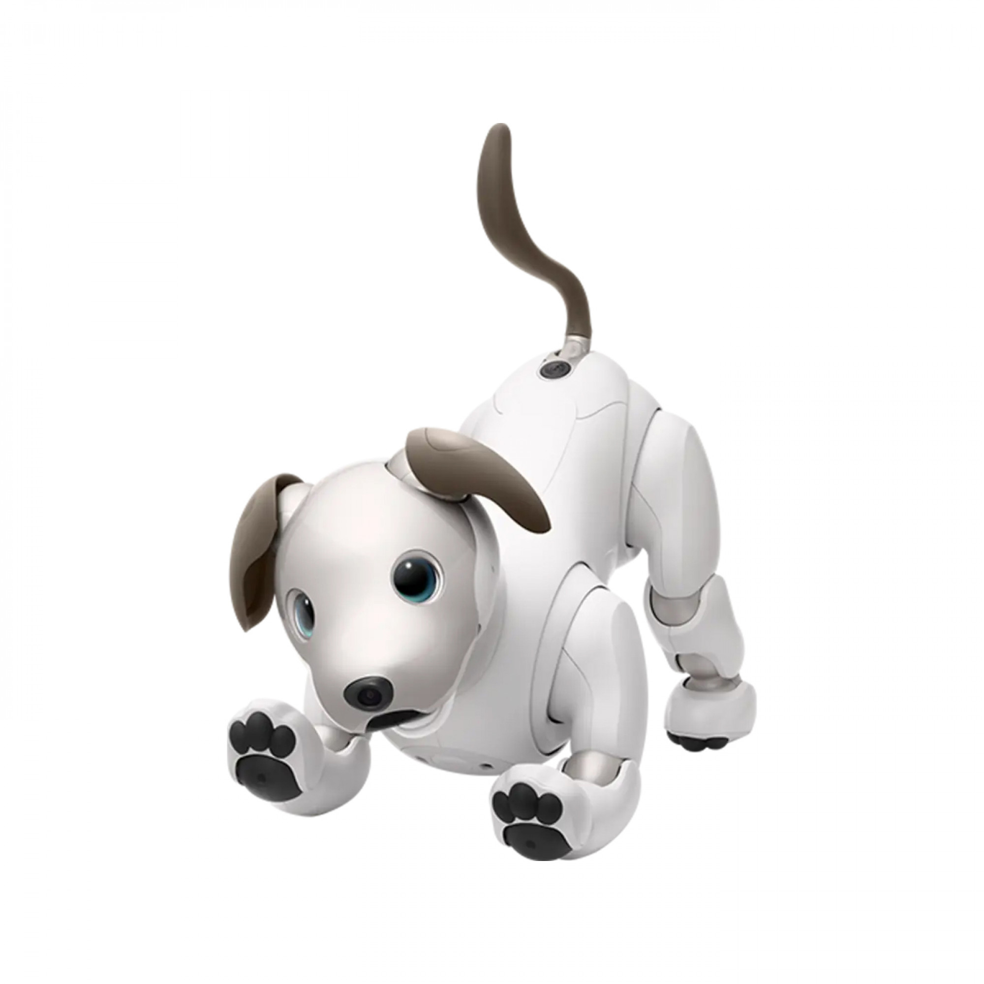 Робот-собака Sony Aibo